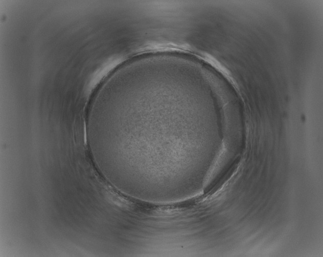 X0000074041269200608281436