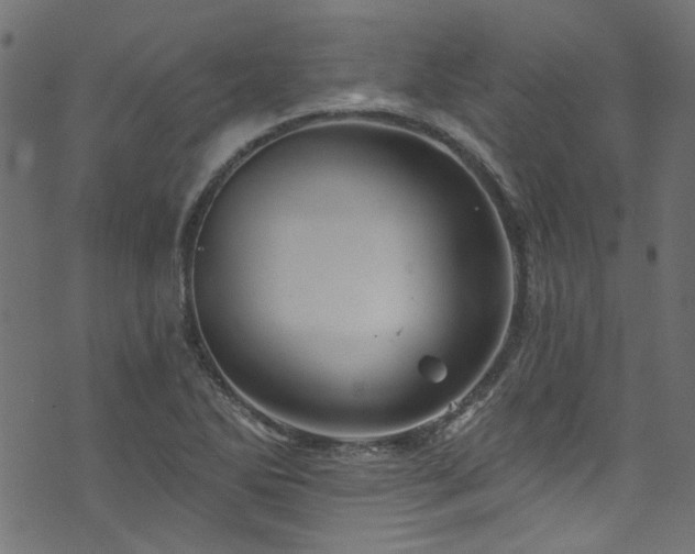 X0000074041270200608281436