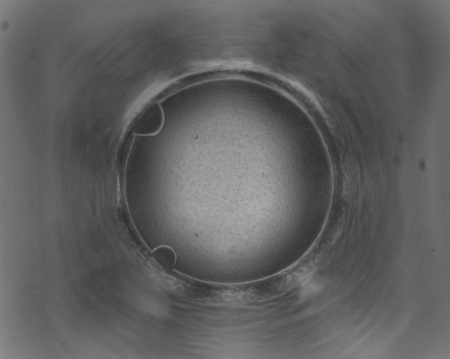 X0000074041271200608281436