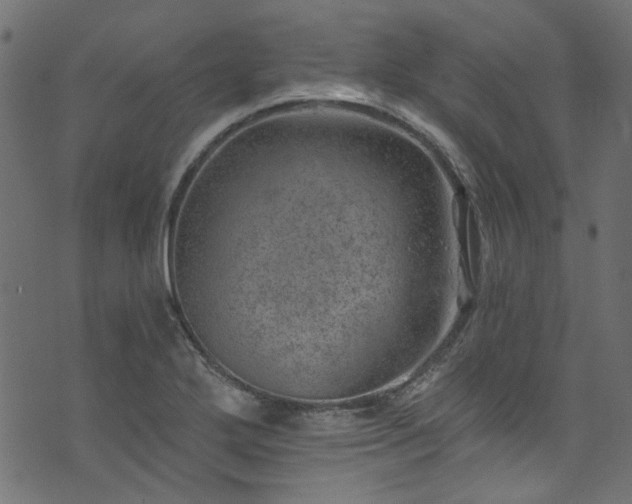 X0000074041272200608281435