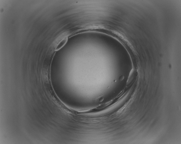 X0000074041273200608281435