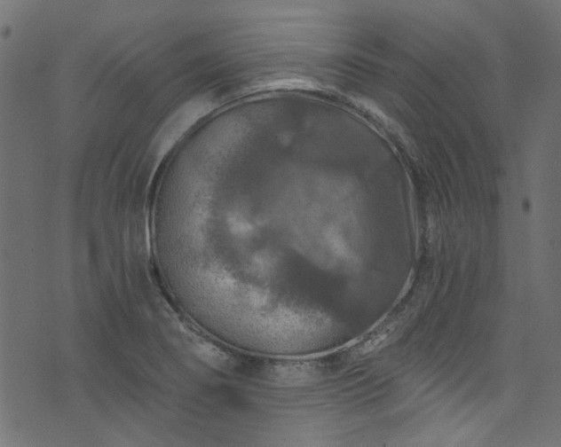 X0000074041274200608281435