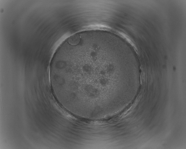 X0000074041275200608281435