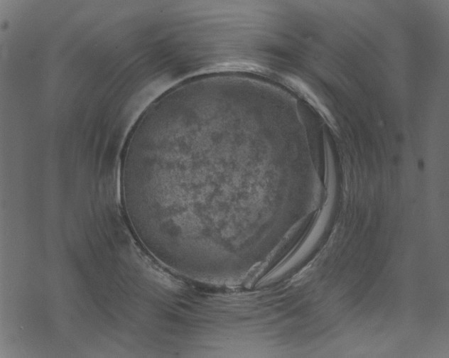 X0000074041276200608281435