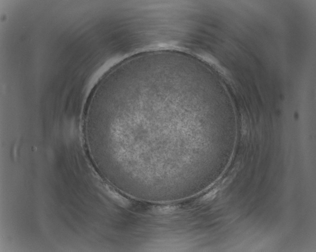 X0000074041278200608281435