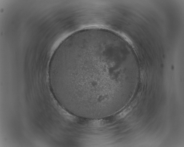 X0000074041279200608281435