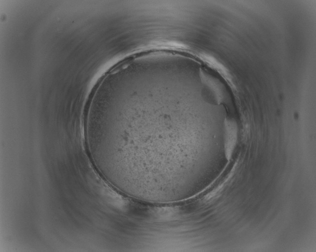 X0000074041280200608281435