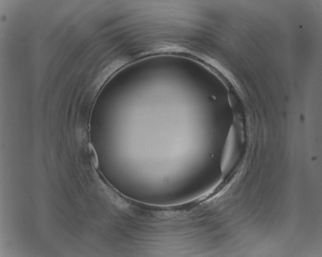 X0000074041281200608281435