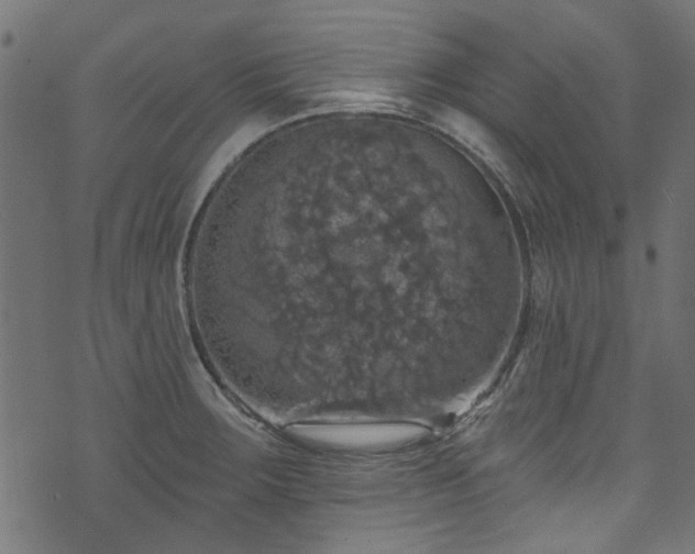 X0000074041283200608281435