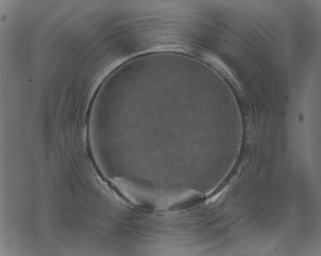 X0000074041284200608281435