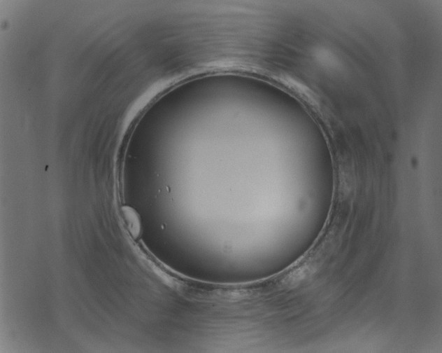 X0000074041286200608281435