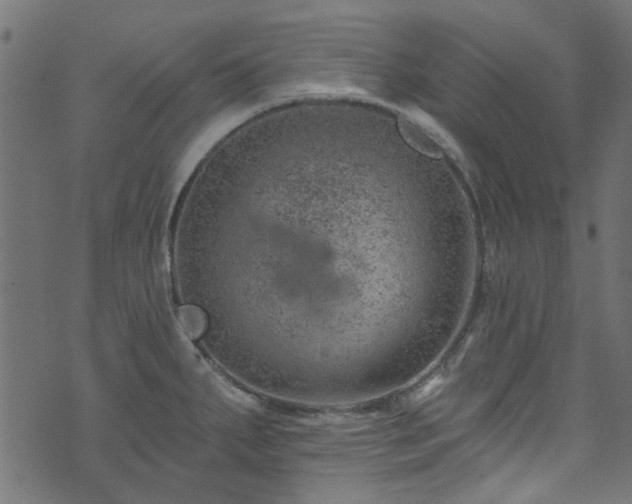 X0000074041287200608281435