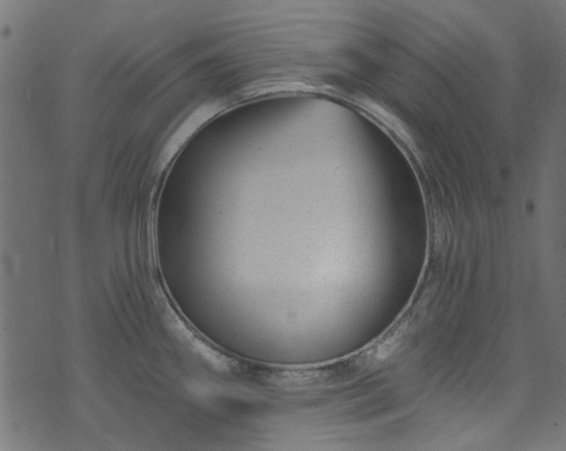 X0000074041290200608281435