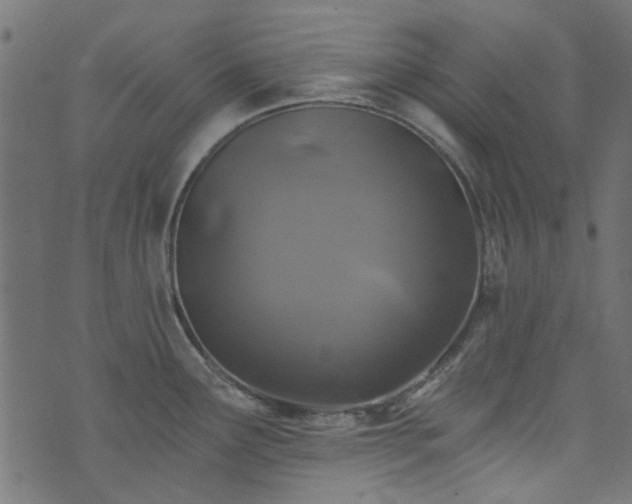 X0000074041291200608281435