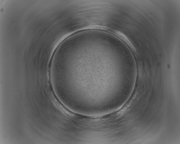 X0000074041292200608281435