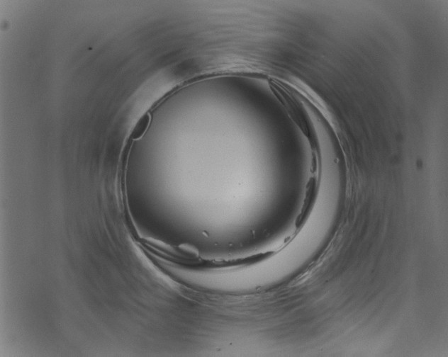 X0000074041293200608281435