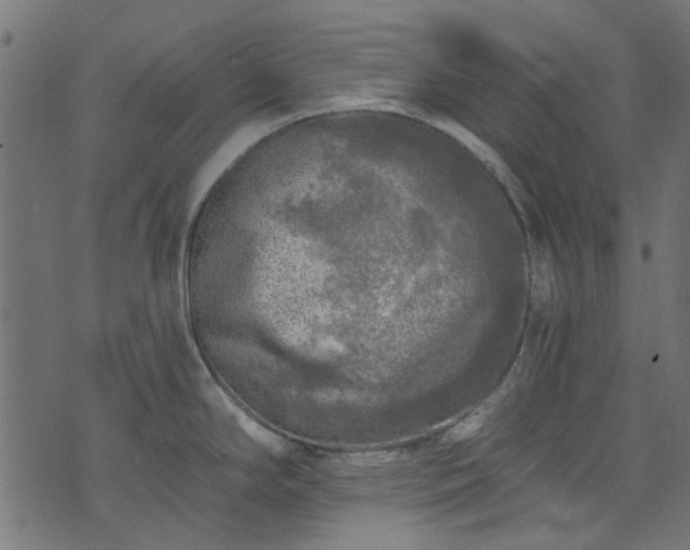 X0000074041294200608281435