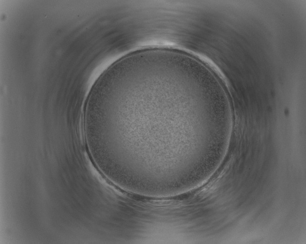 X0000074041295200608281435