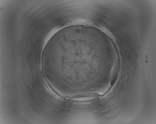 X0000074041296200608281435