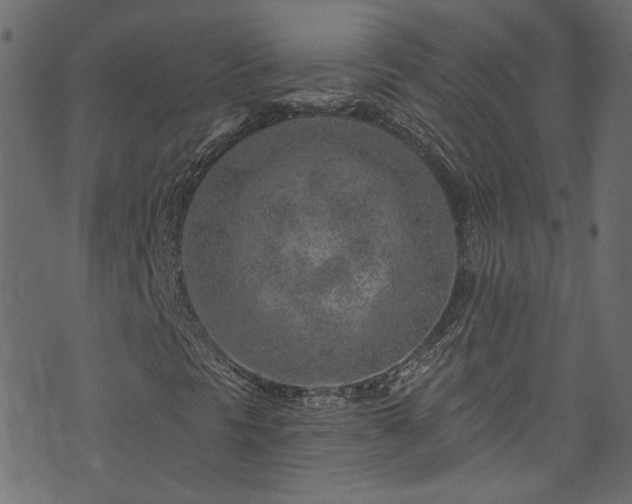 X0000074041297200608281434