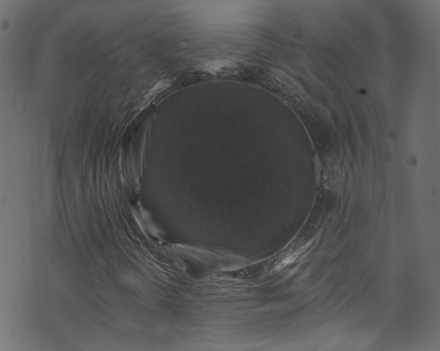 X0000074041298200608281434