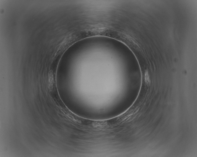 X0000074041299200608281434