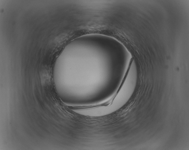 X0000074041300200608281434