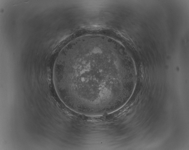 X0000074041301200608281434