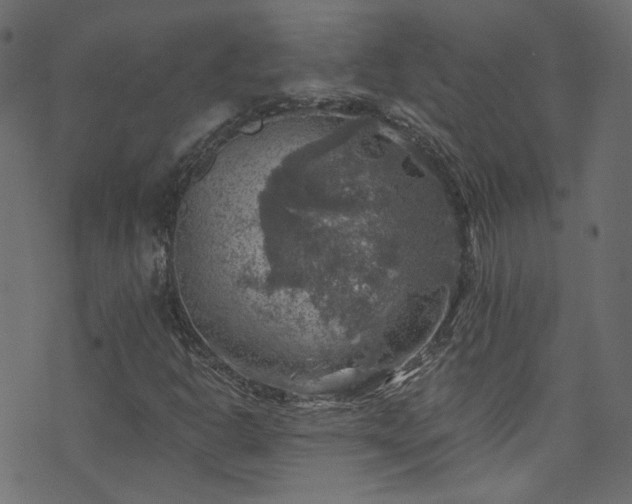 X0000074041302200608281434