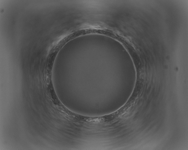 X0000074041303200608281434