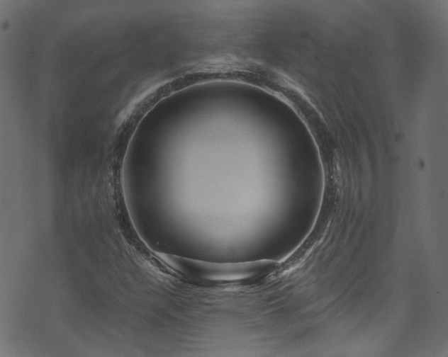 X0000074041304200608281434