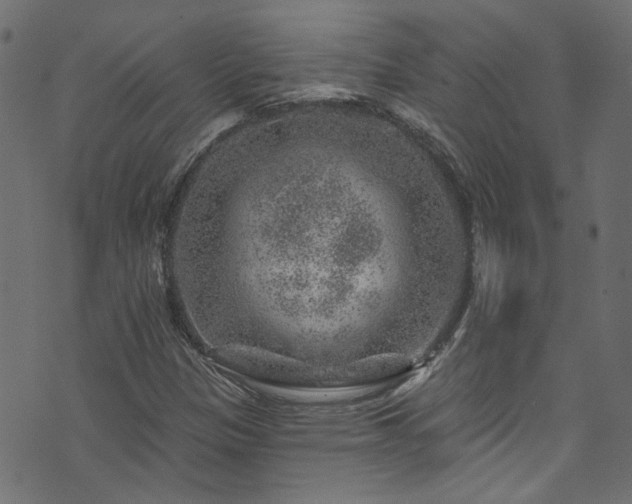 X0000074041305200608281434