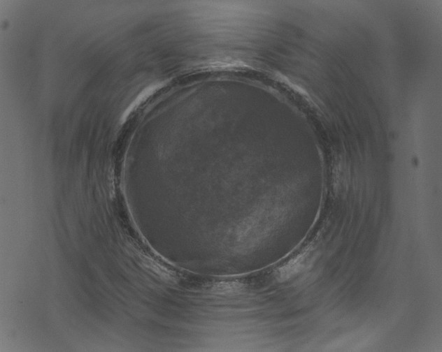 X0000074041306200608281434