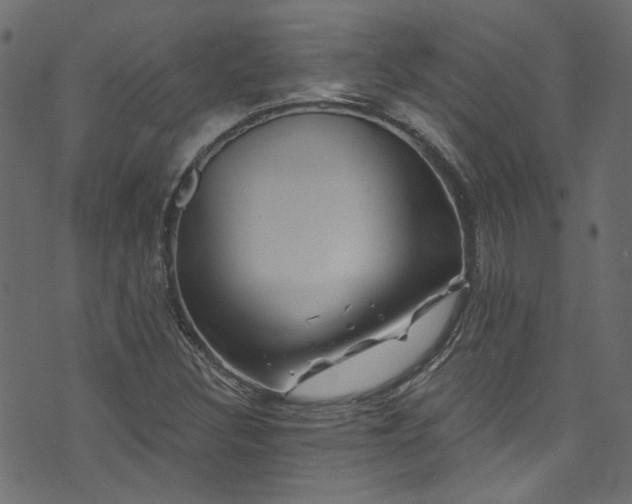 X0000074041308200608281435