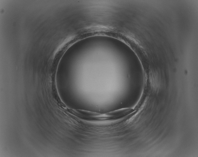 X0000074041309200608281435