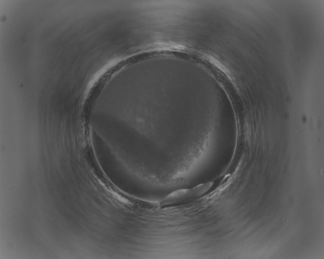 X0000074041310200608281435