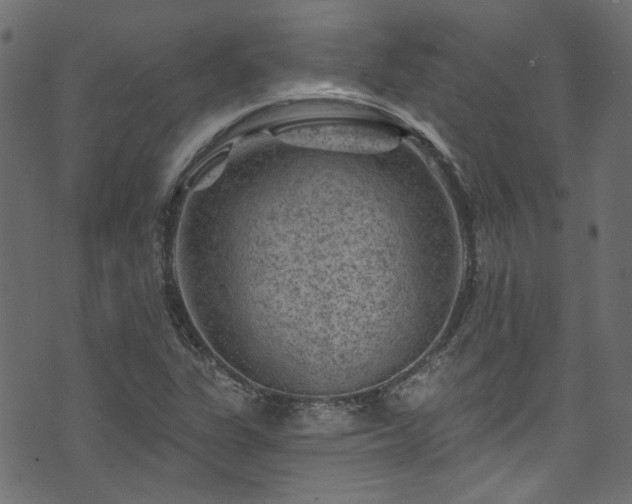 X0000074041311200608281435