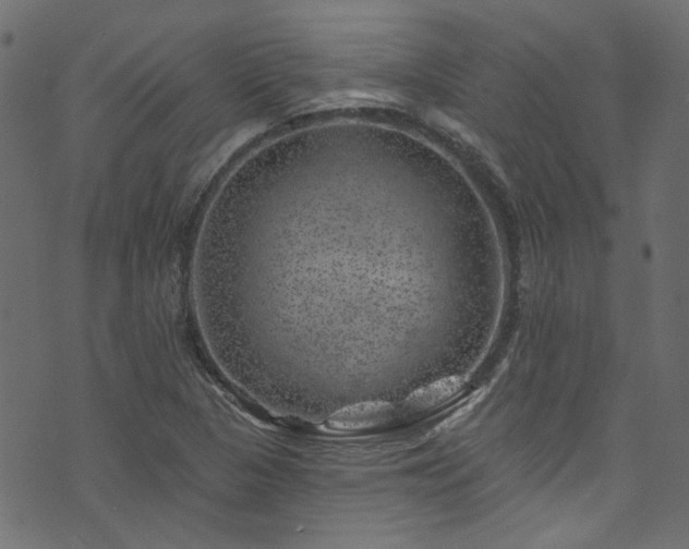 X0000074041313200608281435