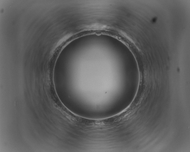 X0000074041315200608281435