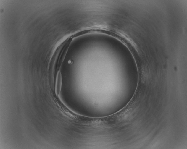 X0000074041316200608281435