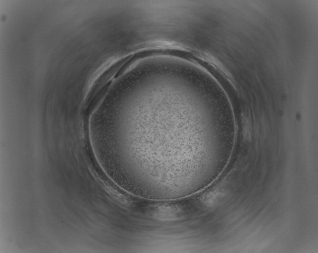 X0000074041318200608281435