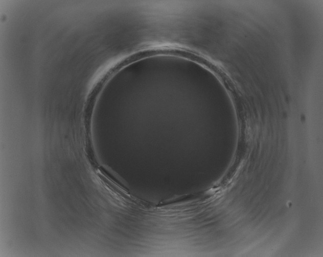 X0000074041319200608281435