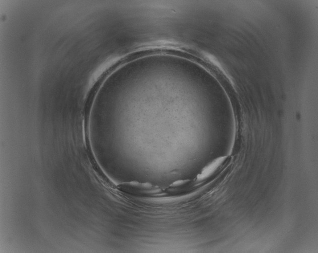 X0000074041320200608281435