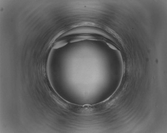 X0000074041321200608281435