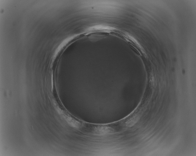 X0000074041323200608281435