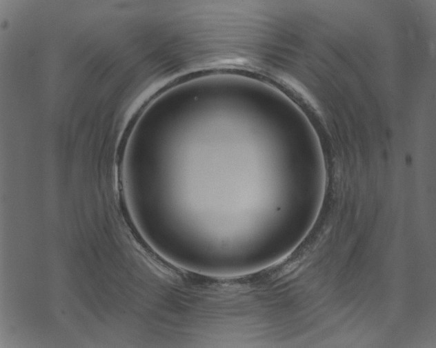 X0000074041324200608281435