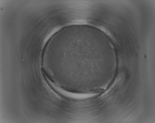 X0000074041325200608281435