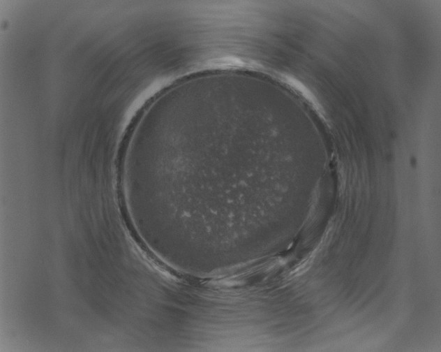 X0000074041326200608281435