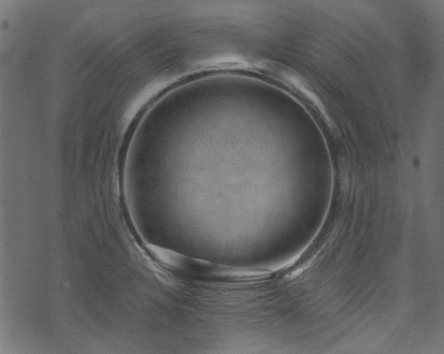 X0000074041328200608281435