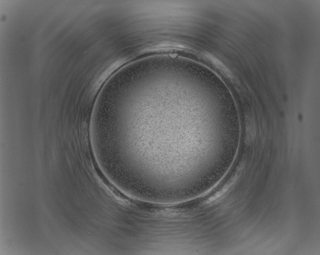 X0000074041329200608281435